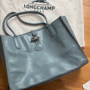 Long champ Blue Leather Purse